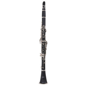 Clarinete ZCL-600N